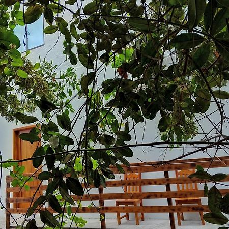 Casa Almendro Apartman Puerto Villamil Kültér fotó