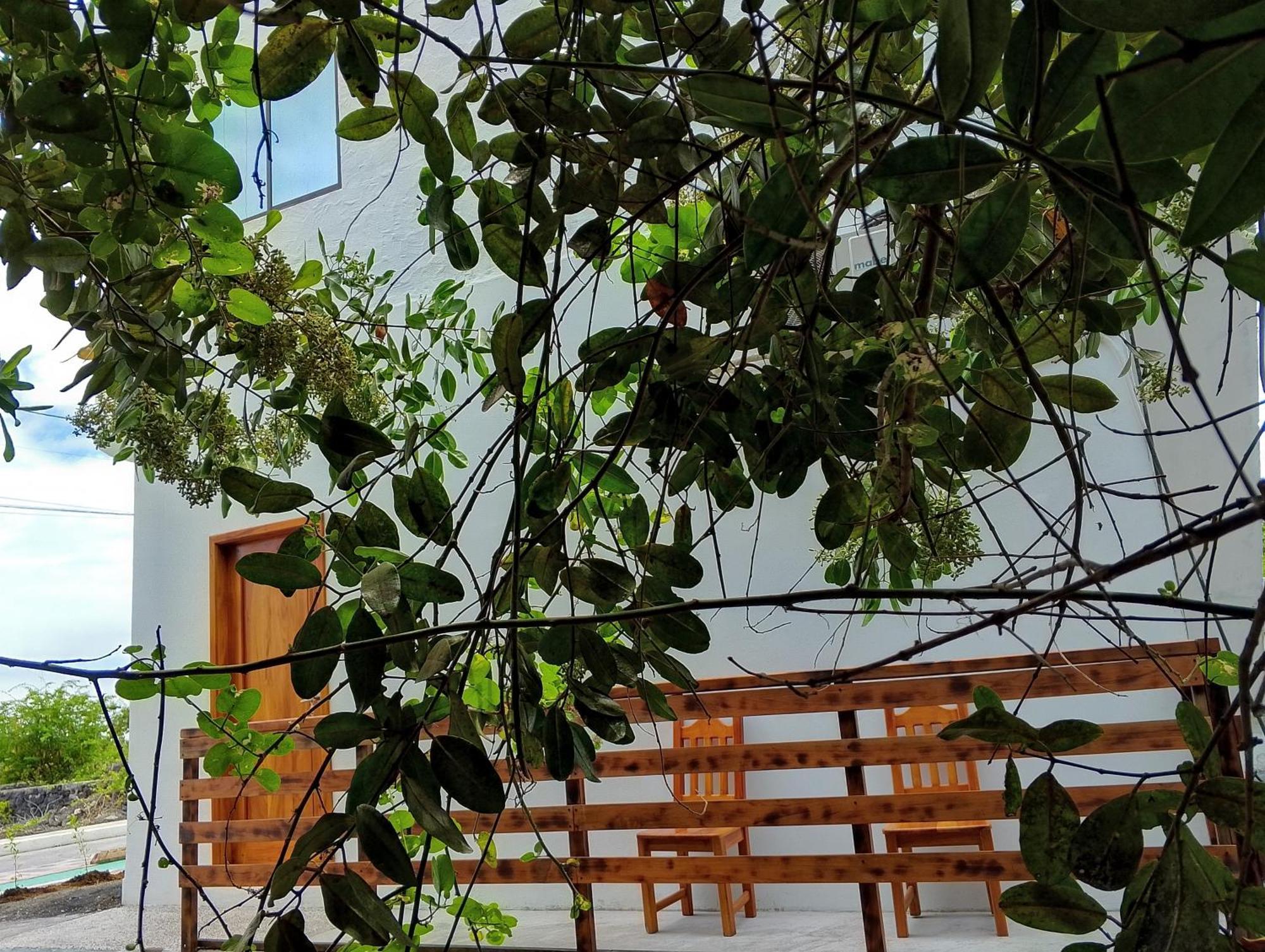 Casa Almendro Apartman Puerto Villamil Kültér fotó